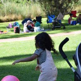 image photo_2017-04-05_23-42-09-jpg