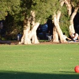 image photo_2017-04-05_23-44-31-jpg