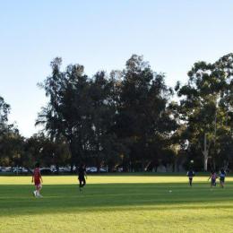 image photo_2017-04-05_23-44-44-jpg