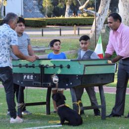 image photo_2017-04-05_23-45-22-jpg